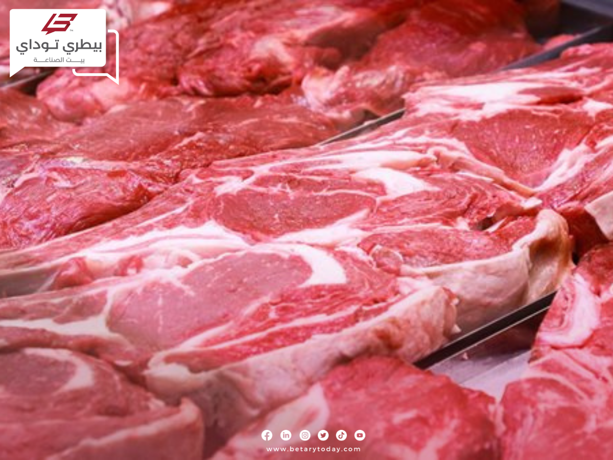 أسعار اللحوم الحمراء البلدي والمستوردة اليوم الإثنين في الأسواق