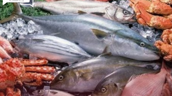 تراجع مؤقت... أسعار الأسماك والمأكولات البحرية اليوم الإثنين في الأسواق