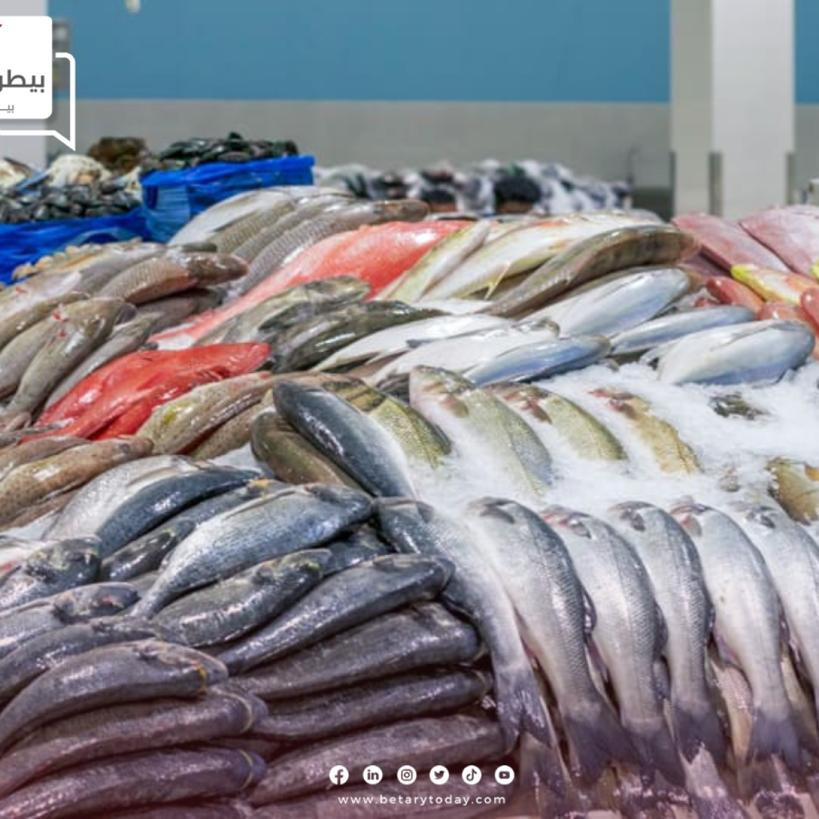 أسعار الأسماك والمأكولات البحرية اليوم الجمعة 10 مايو في سوق العبور