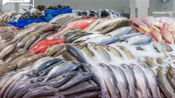أسعار الأسماك والمأكولات البحرية اليوم الجمعة 10 مايو في سوق العبور