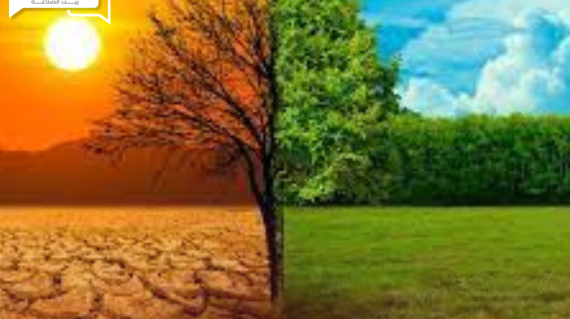 مركز التغير المناخي... تقدم نصائح للمزارعين للتغلب على التغييرات المناخية