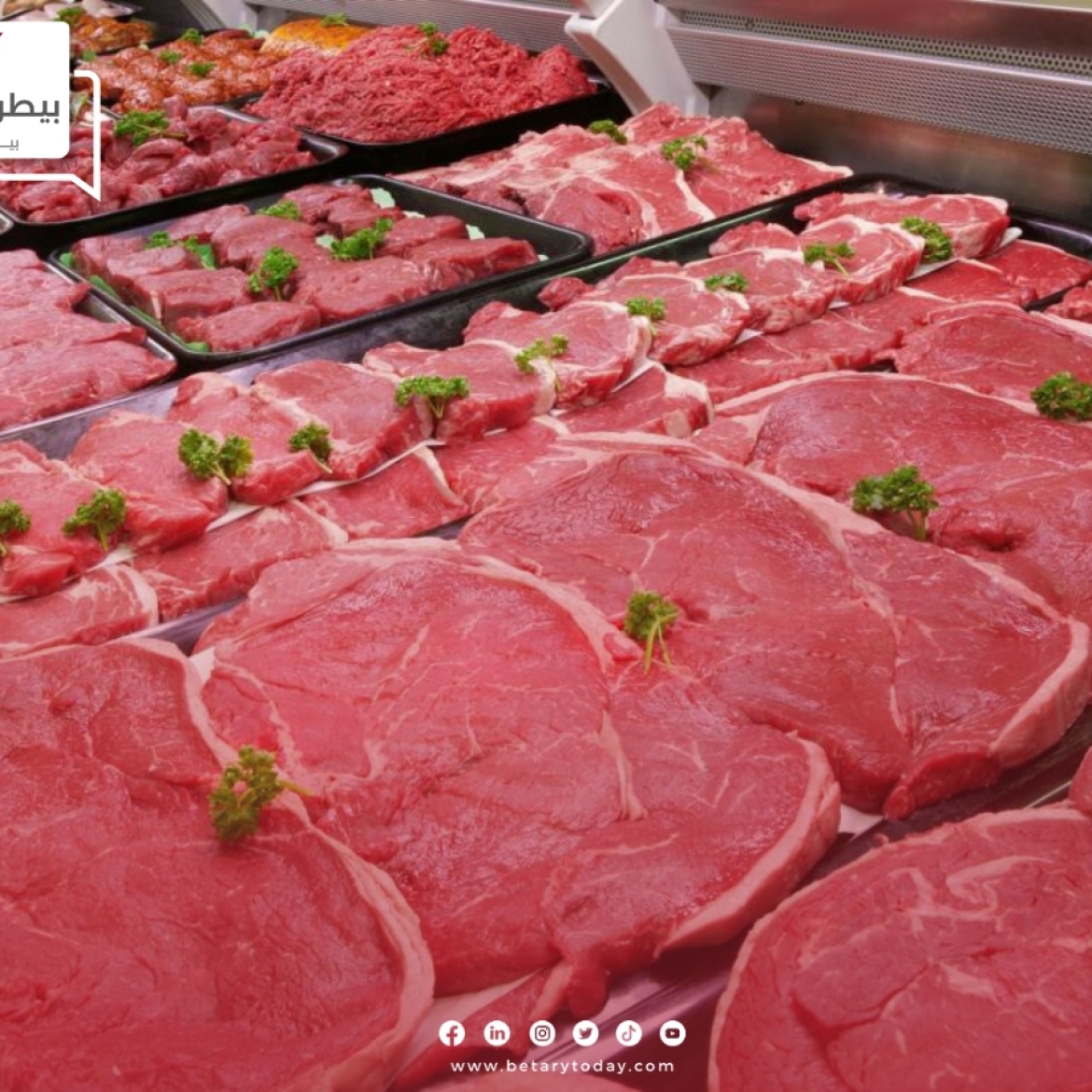 هدوء لحظي في أسعار اللحوم الحمراء البلدي اليوم الأحد 12 مايو في الأسواق