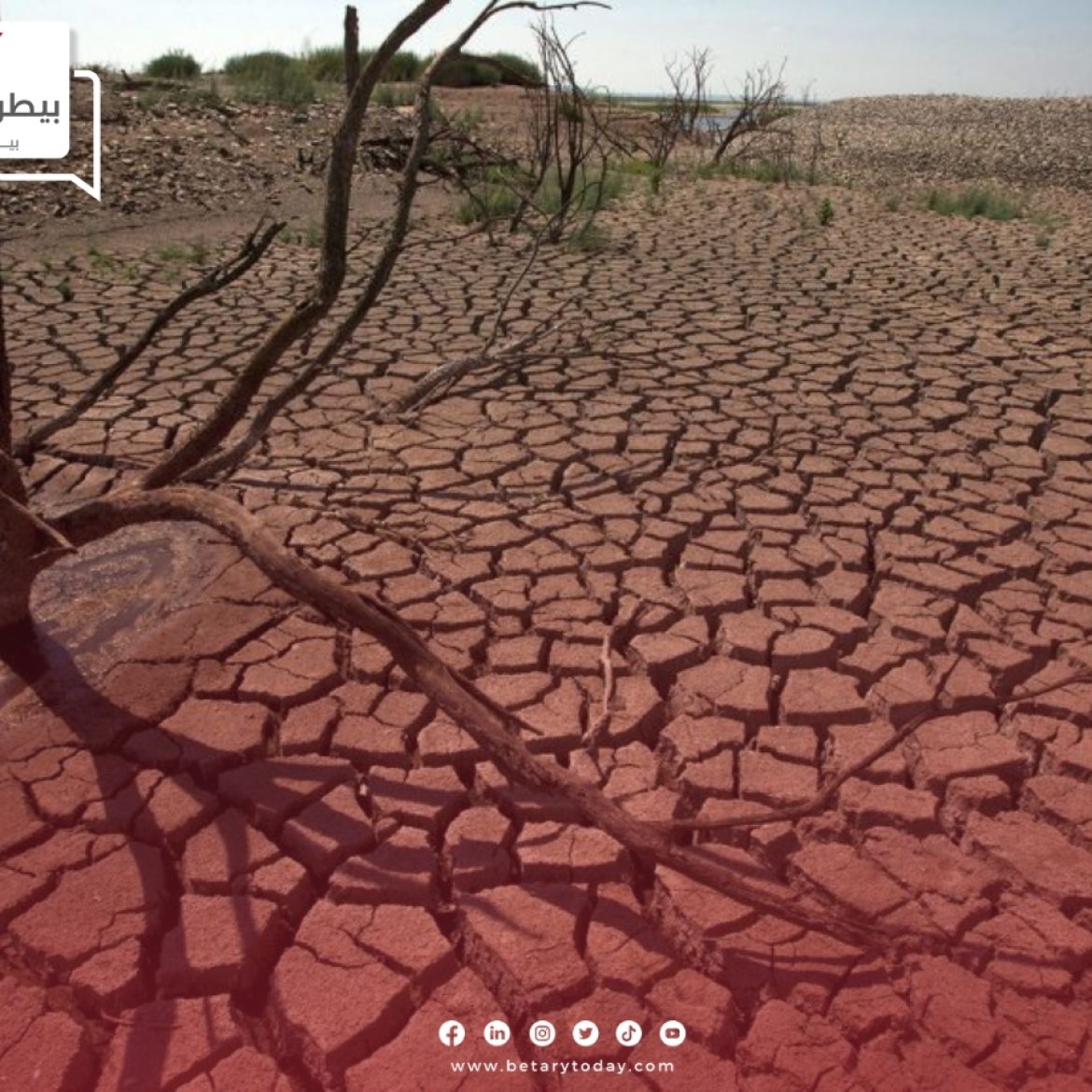 قطاع الحبوب يتأزم ويحتدم بفعل الجفاف بالبلاد المغربية