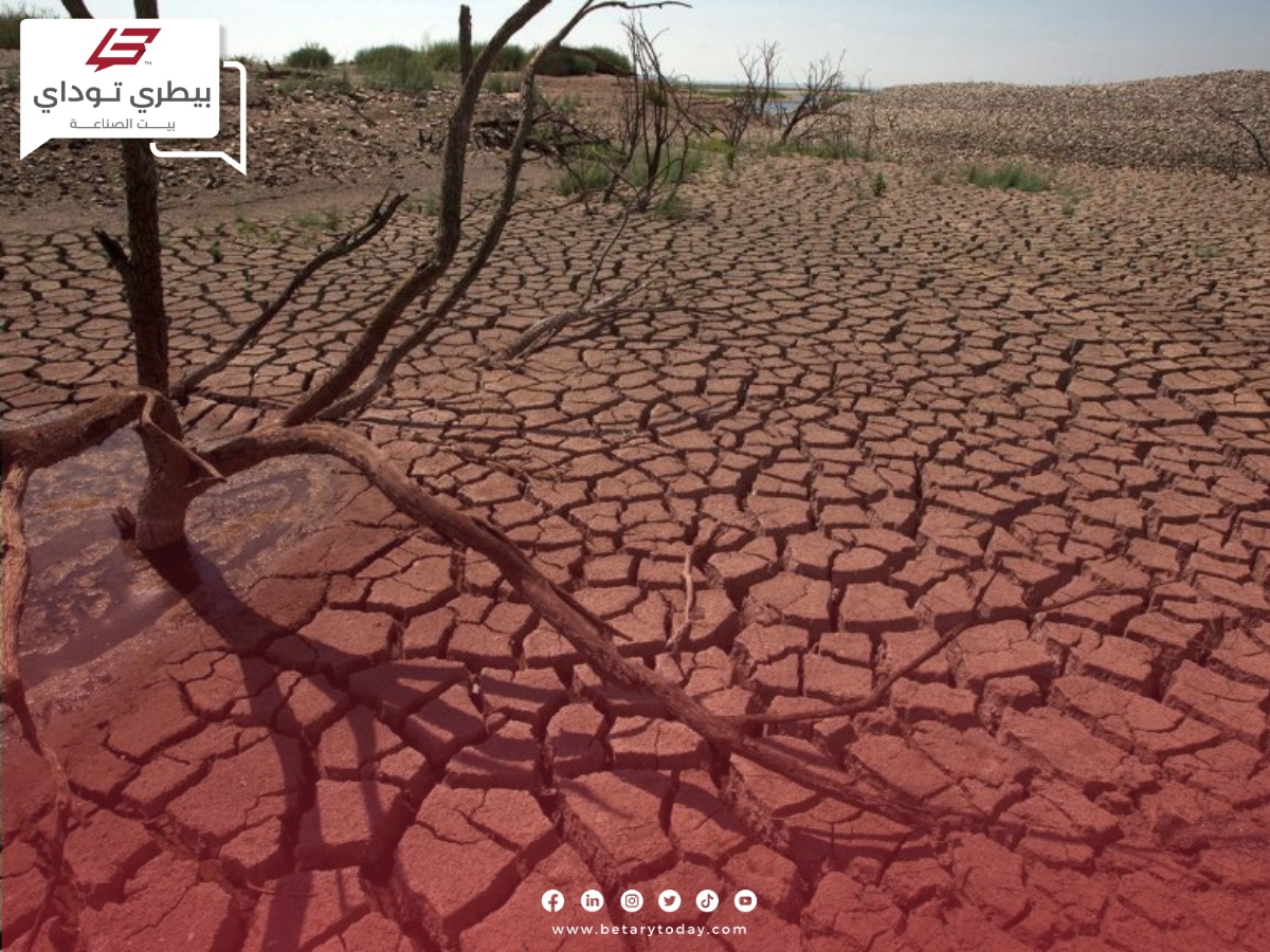 قطاع الحبوب يتأزم ويحتدم بفعل الجفاف بالبلاد المغربية