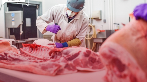 تلف 70 طن من اللحوم الفرنسية في أحد موانئ الجزائر