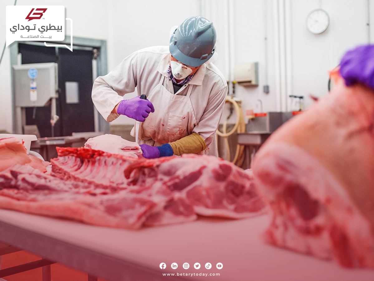 تلف 70 طن من اللحوم الفرنسية في أحد موانئ الجزائر