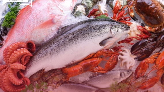 ما هي أسعار الأسماك والمأكولات البحرية اليوم الثلاثاء بعد حملات المقاطعة