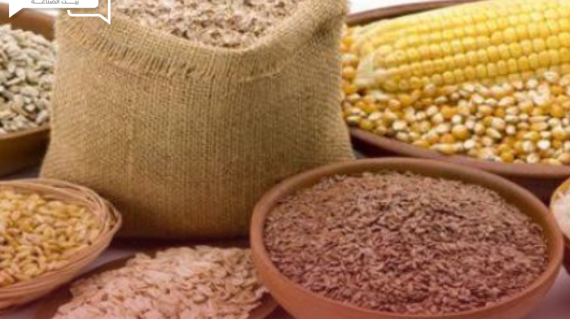 أوكرانيا تتمكن من تصدير كميات كبيرة من الحبوب في الأيام الأولى من يونيو