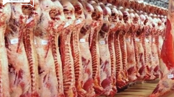 شعبة القصابين… مبادرات خفض اللحوم غير عادلة و لحوم غير شرعية