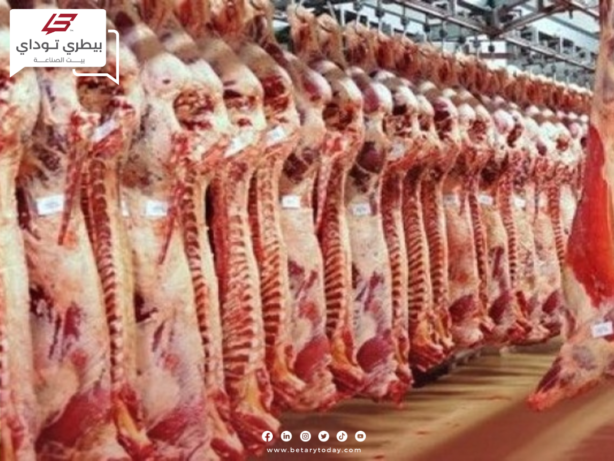أسعار اللحوم الحمراء البلدي والمستوردة اليوم السبت 11 مايو في الأسواق