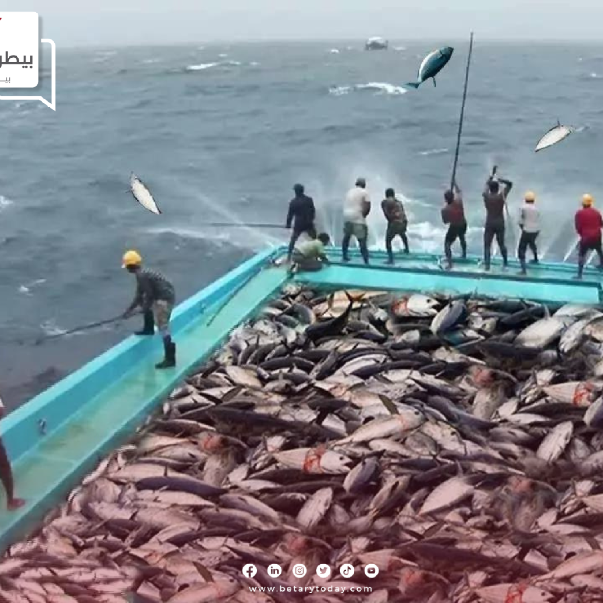 وصول أسعار الأسماك إلى أرقام فلكية بالبلاد العراقية