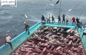وصول أسعار الأسماك إلى أرقام فلكية بالبلاد العراقية