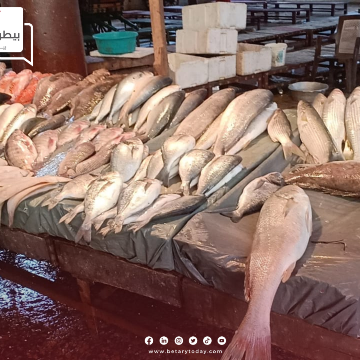 تباين أسعار الأسماك والمأكولات البحرية اليوم الثلاثاء في الأسواق