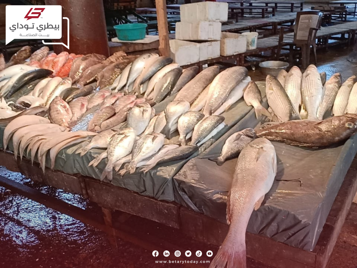 ما هي أسعار الأسماك والمأكولات البحرية اليوم الخميس في سوق العبور