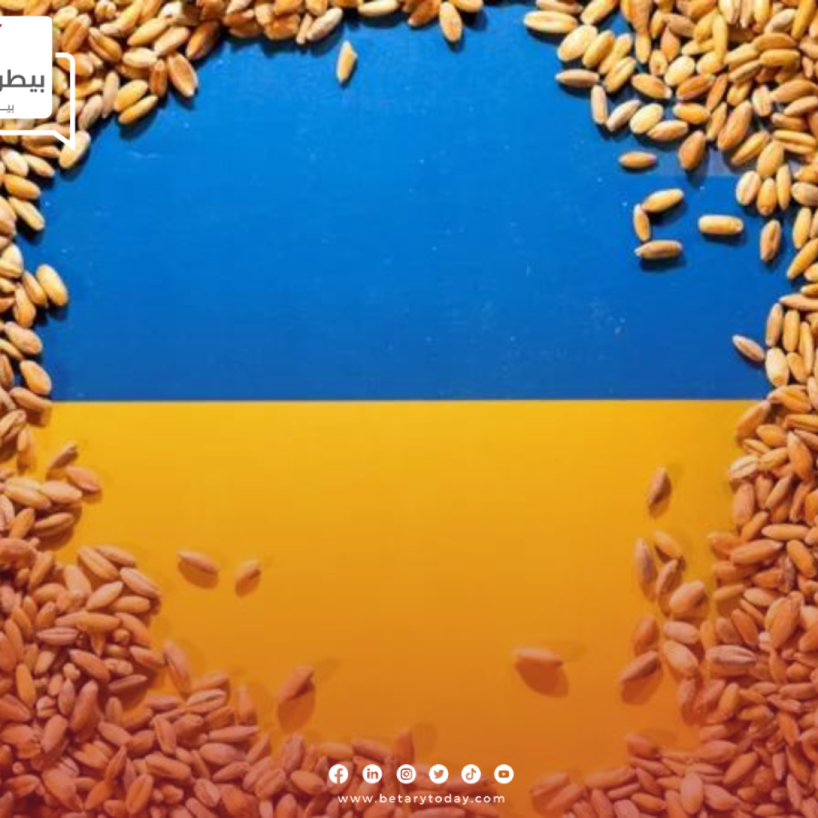 صادرات الحبوب الأوكرانية تقترب من 43 مليون طن خلال الموسم الجاري