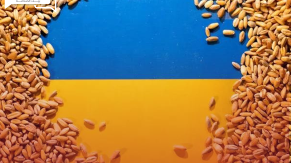 صادرات الحبوب الأوكرانية تتجاوز 44 مليون طن لهذا الموسم