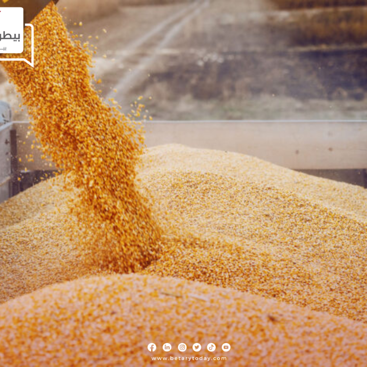 ارتفاع صادرات الحبوب الأوكرانية لتقترب من 50 مليون طن