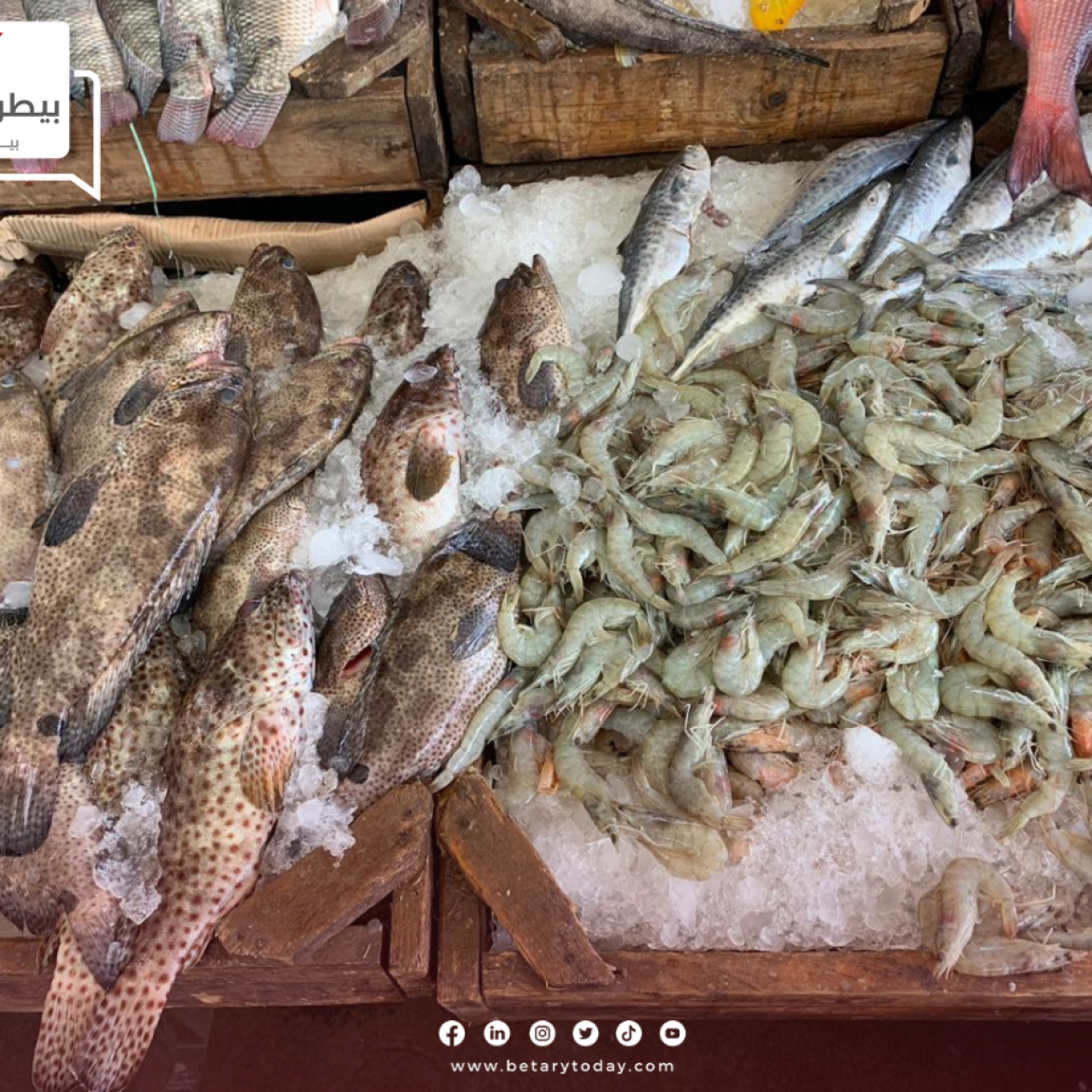 هدوء أسعار الأسماك والمأكولات البحرية اليوم الاثنين 24 يونيو في سوق العبور