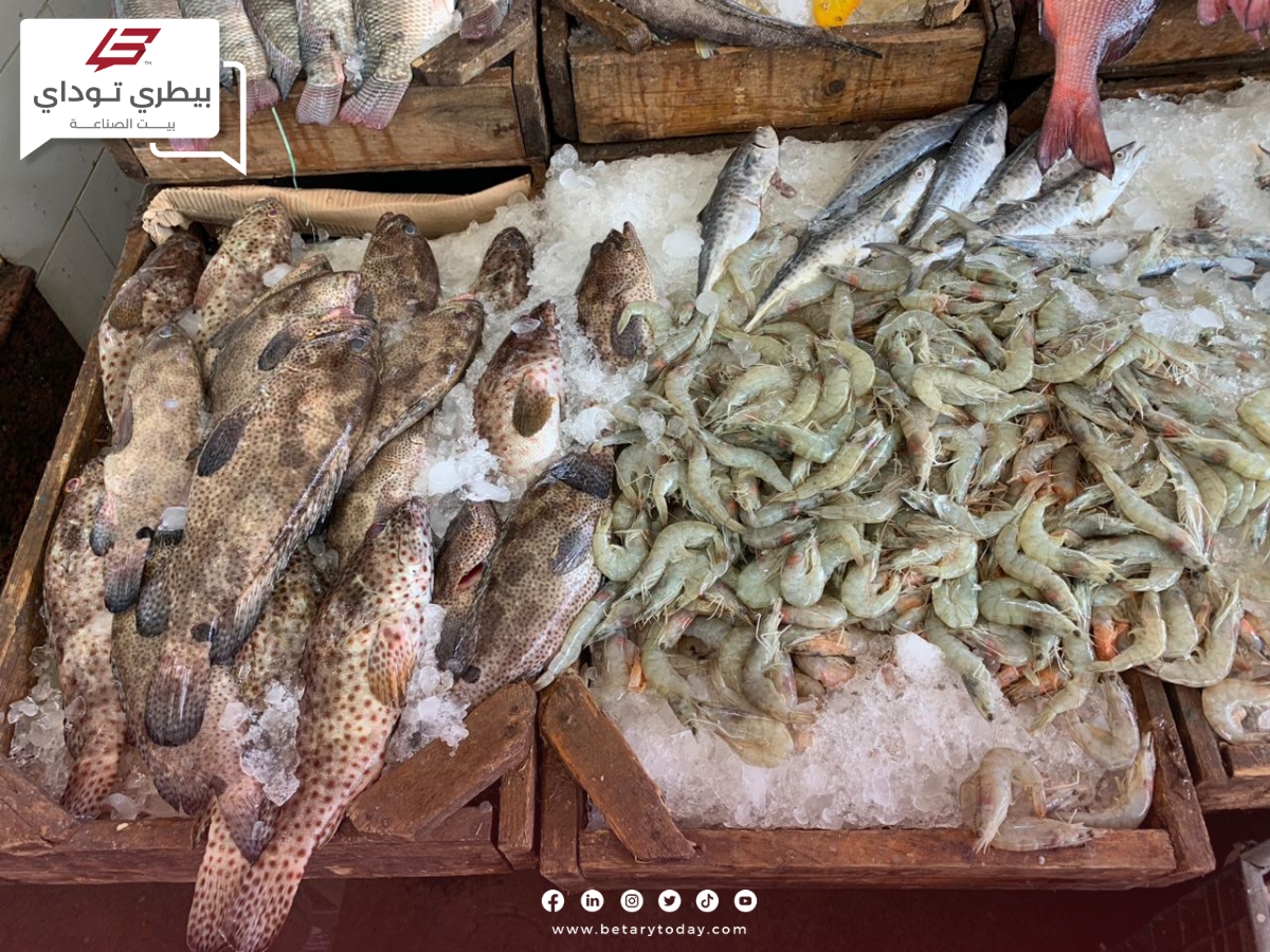 هدوء مؤقت في أسعار الأسماك والمأكولات البحرية اليوم الخميس في الأسواق