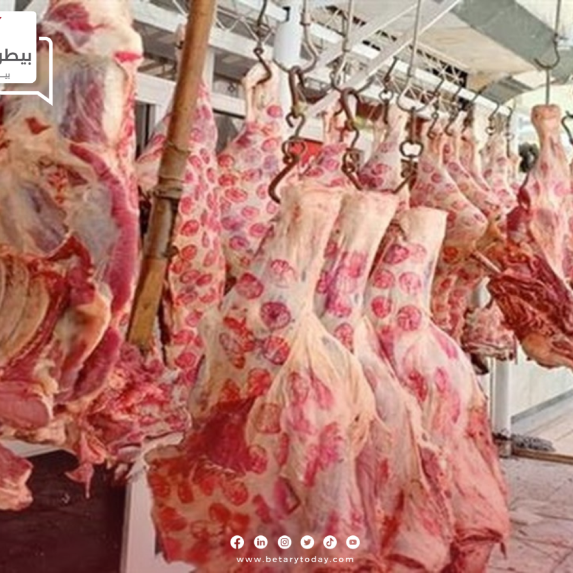 هدوء أسعار اللحوم الحمراء البلدي والمستوردة اليوم السبت في الأسواق