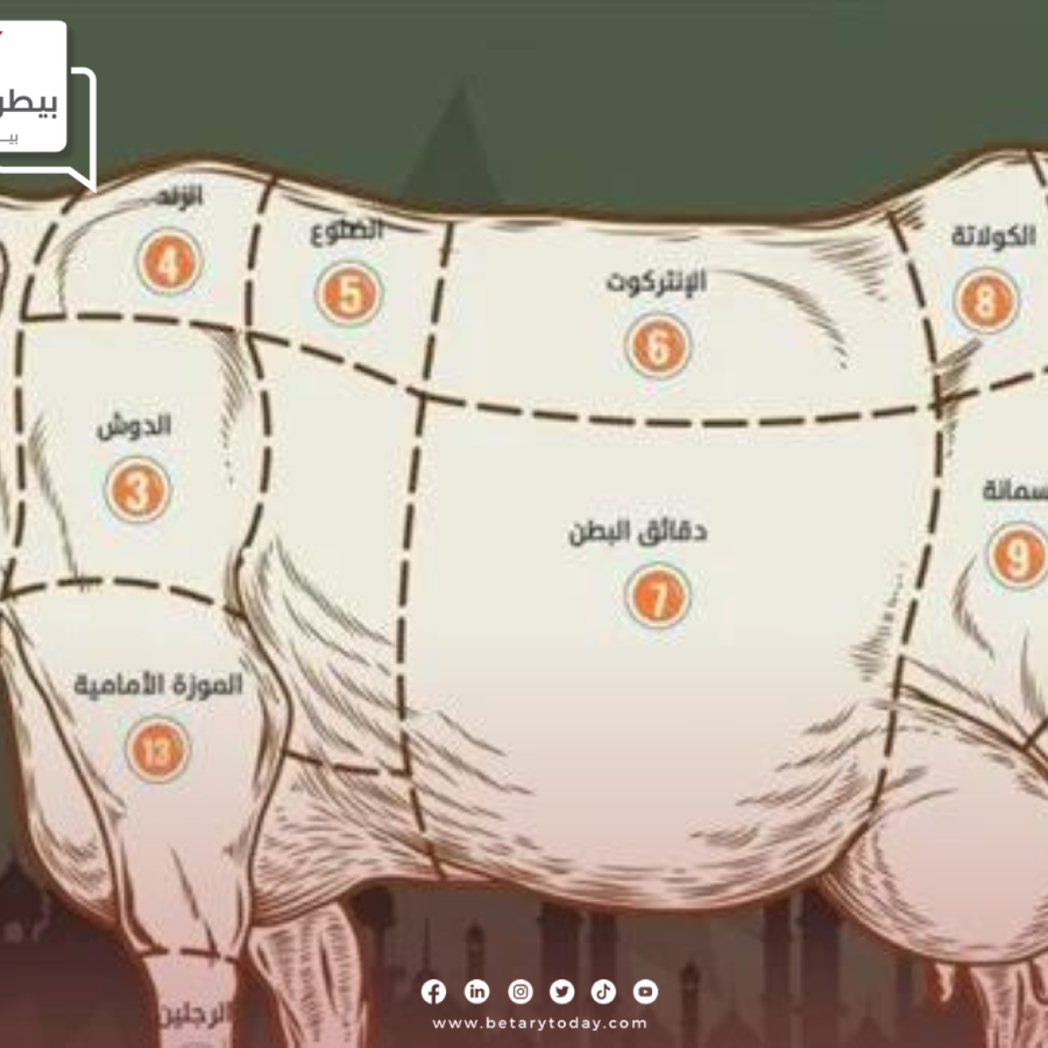 قبل أيام من عيد الاضحى… تعرف على قطعيات اللحوم المختلفة