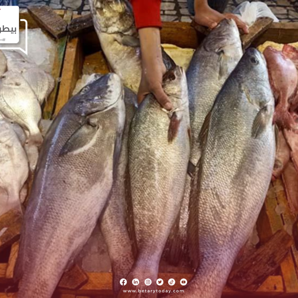 أسعار الأسماك والمأكولات البحرية اليوم الأربعاء 26 يونيو في الأسواق