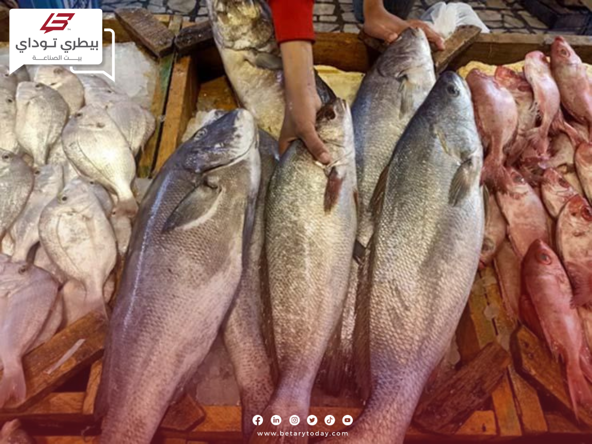 أسعار الأسماك والمأكولات البحرية اليوم الأربعاء 26 يونيو في الأسواق