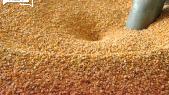 أوضحت البيانات الصادرة عن وزارة الزراعة الأوكرانية، أن صادرات الحبوب للموسم التسويقي لعام 2023-2024 الذي بدأ من يوليو 2023 ومستمر حتى نهاية يونيو 2024، سجلت نحو 47.7 مليون طن متري في يوم 7 يونيو الماضي، مقارنة بالفترة ذاتها من العام الماضي مسجلة نحو 46 مليون طن متري