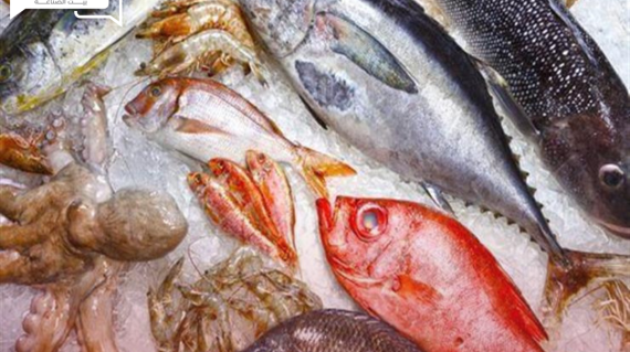 أسعار الأسماك والمأكولات البحرية اليوم الجمعة 14 يونيو في الأسواق