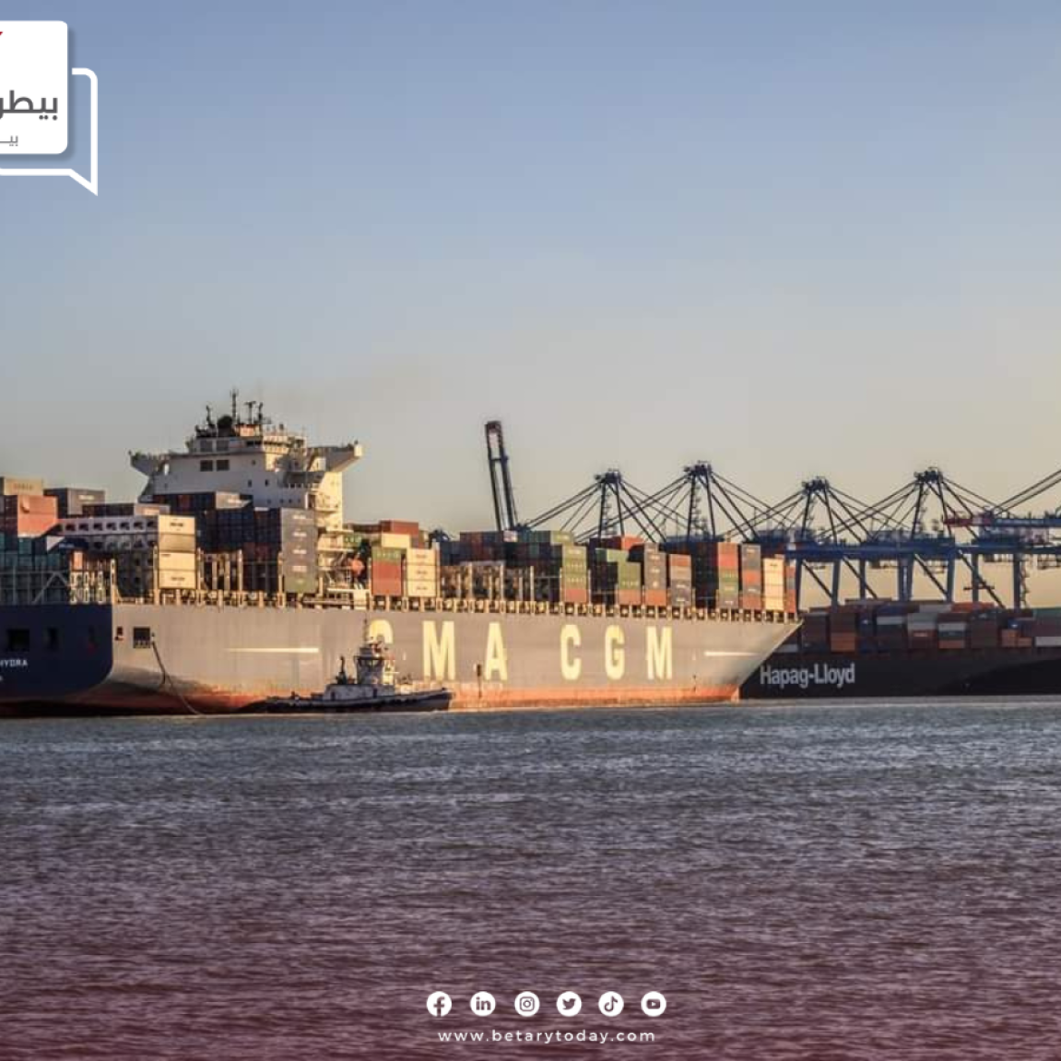 ميناء دمياط يستقبل اليوم نحو 7500 طن ذرة صفراء و 2500 طن فول صويا