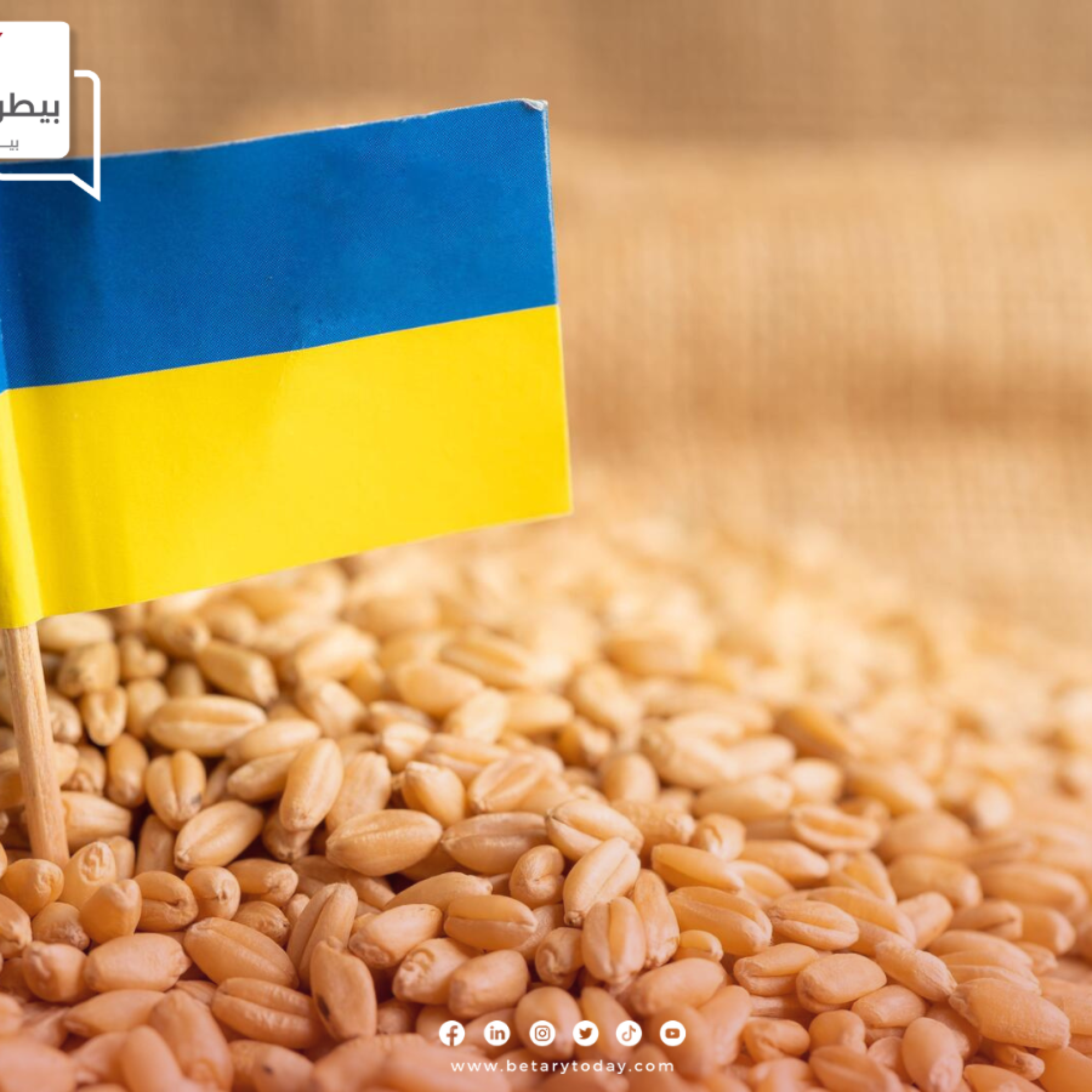 الحبوب الأوكرانية تسجل نحو 6.5 مليون طن خلال شهر أبريل