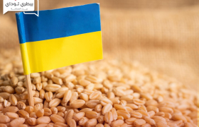 الحبوب الأوكرانية تسجل نحو 6.5 مليون طن خلال شهر أبريل