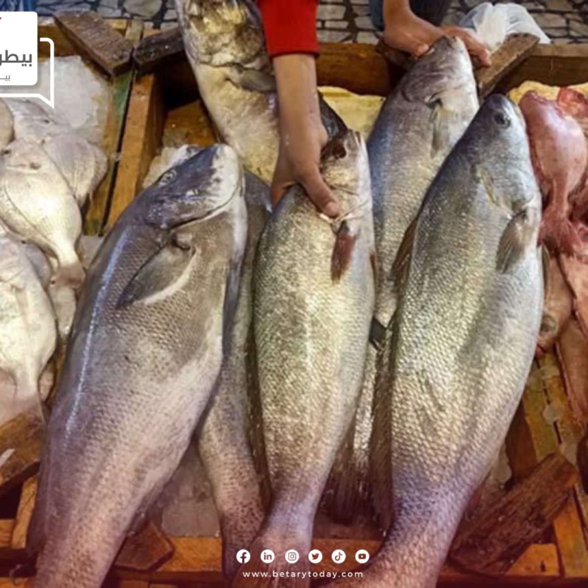 ارتفاع أسعار الأسماك والمأكولات البحرية اليوم الأربعاء 15 مايو في الأسواق