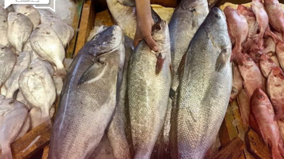 ارتفاع أسعار الأسماك والمأكولات البحرية اليوم الأربعاء 15 مايو في الأسواق