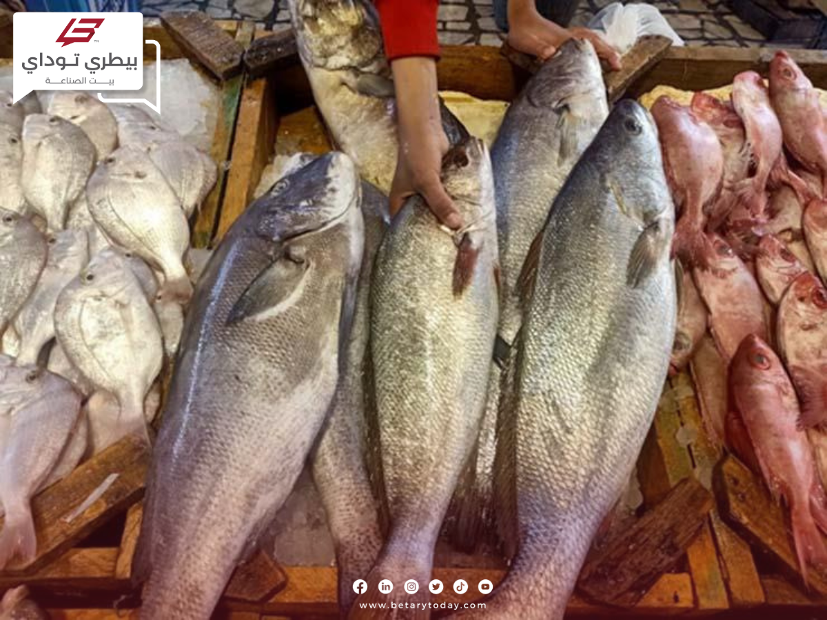 تراجع أسعار الأسماك والمأكولات البحرية اليوم الخميس 2 مايو في الأسواق