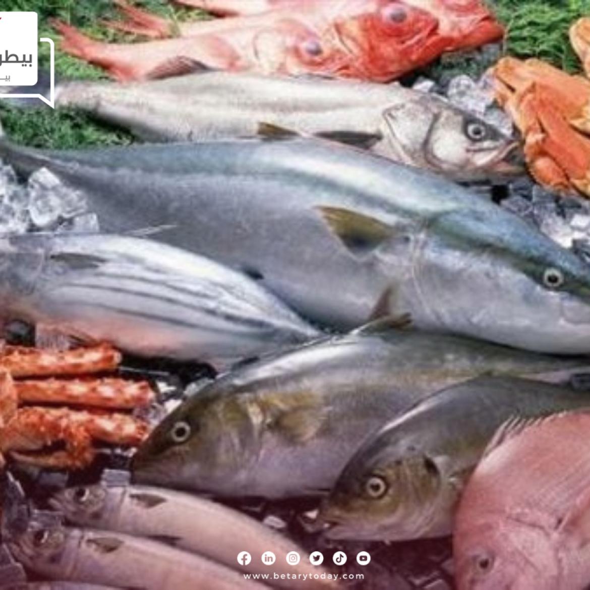 ارتفاع جديد من نصيب أسعار الأسماك والمأكولات البحرية اليوم الأحد