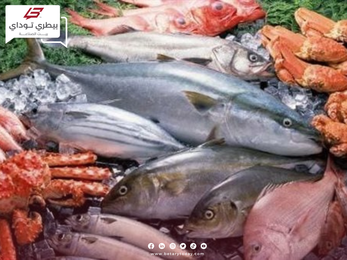 أسعار الأسماك والمأكولات البحرية اليوم الاثنين 13 مايو في سوق العبور