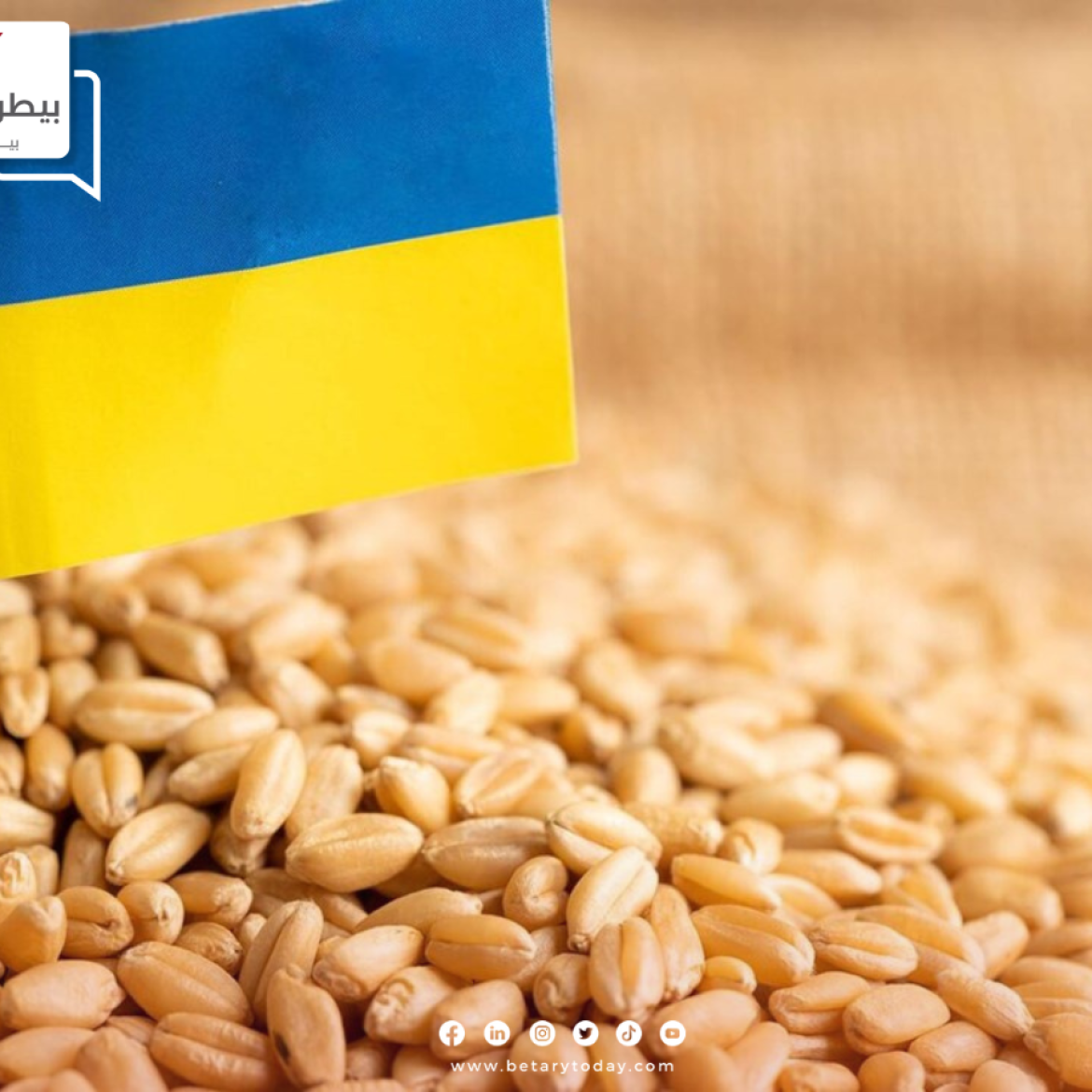 روسيا تتوقع تصدير 70 مليون طن من الحبوب خلال الموسم الزراعي الجاري