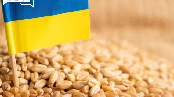 روسيا تتوقع تصدير 70 مليون طن من الحبوب خلال الموسم الزراعي الجاري