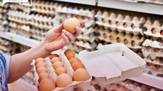 قفزة جديدة في أسعار البيض ومعاناة قطاع البياض… مربي يوضح
