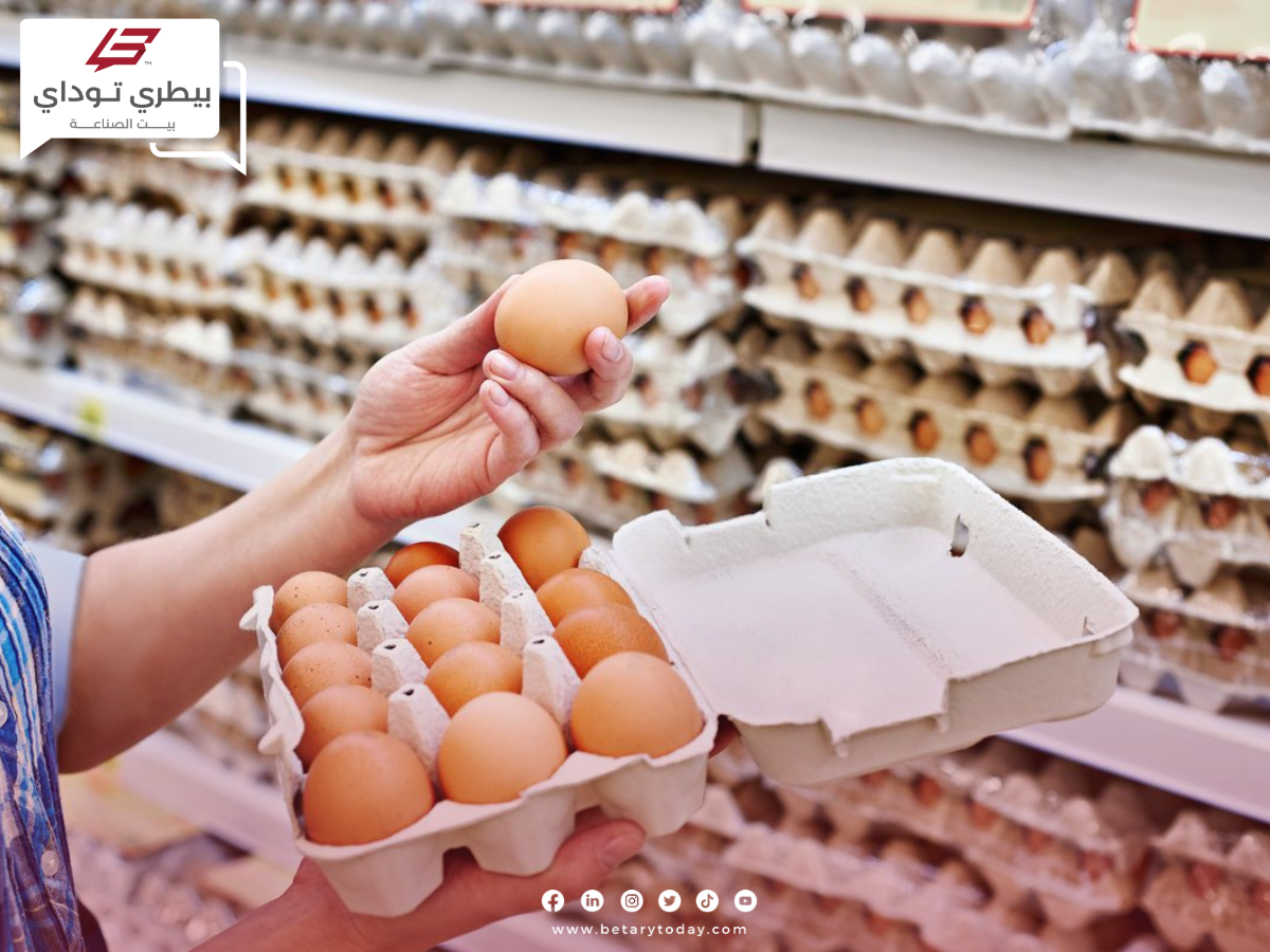 قفزة جديدة في أسعار البيض ومعاناة قطاع البياض… مربي يوضح