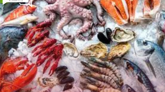 أسعار الأسماك والمأكولات البحرية اليوم الأربعاء 12 يونيو في سوق العبور