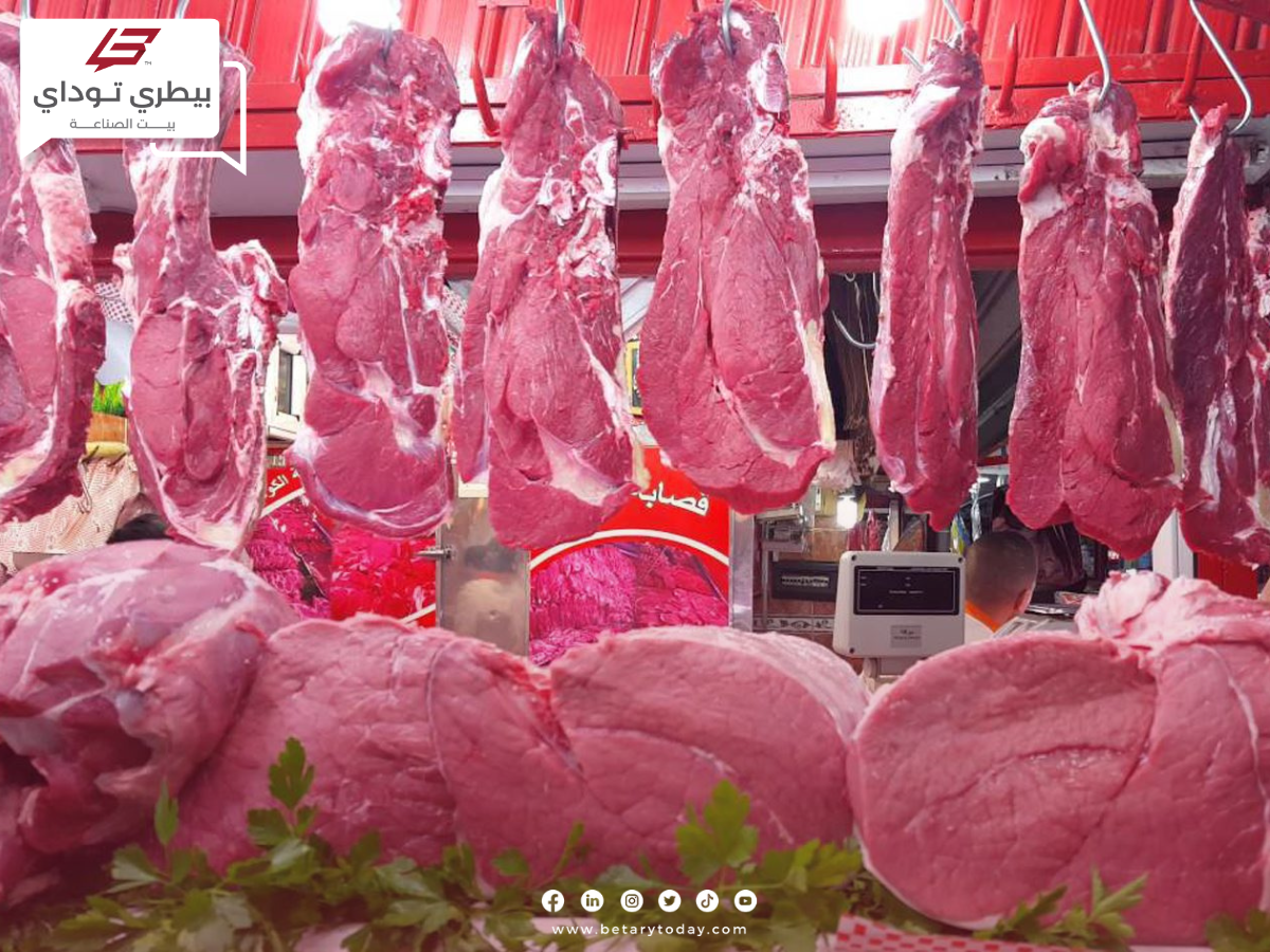استقرار أسعار اللحوم الحمراء البلدي والمستوردة اليوم السبت في الأسواق