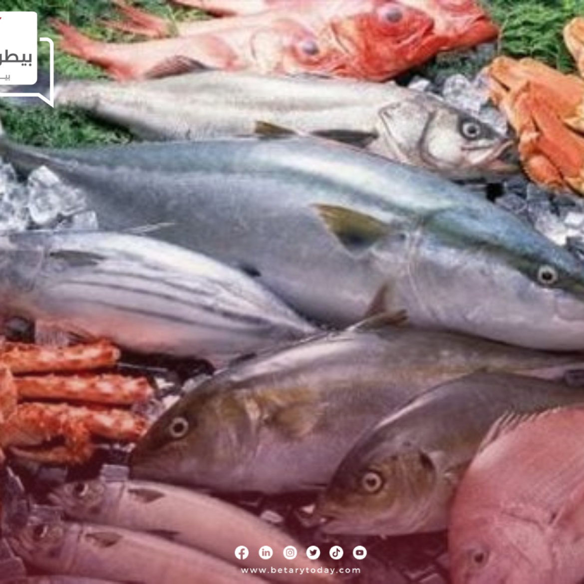 أسعار الأسماك والمأكولات البحرية اليوم السبت 6 يوليو في سوق العبور