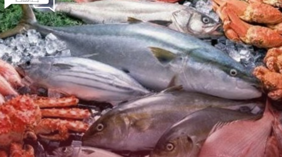 أسعار الأسماك والمأكولات البحرية اليوم الأحد 30 يونيو في الأسواق