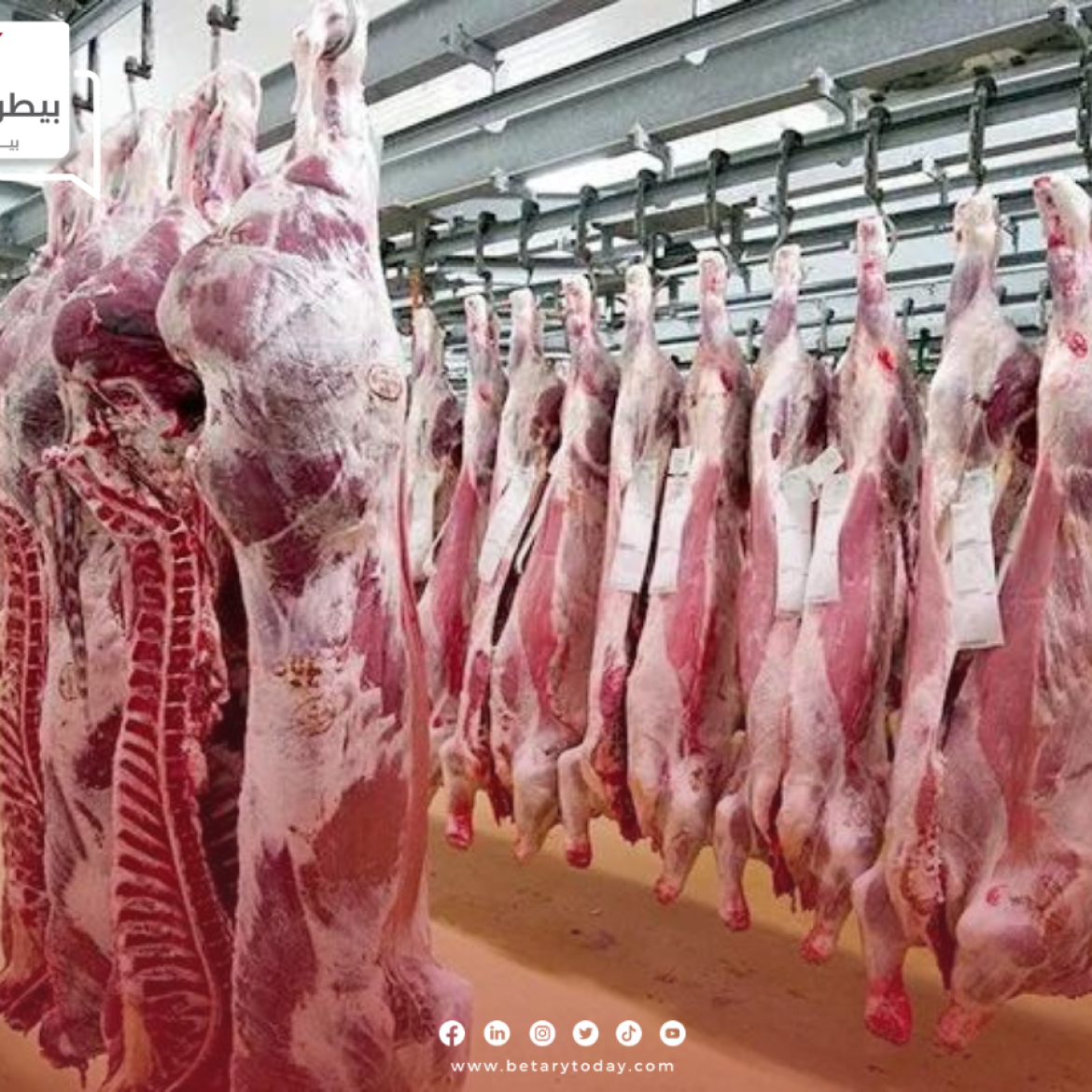 "قبل يومين من عيد الأضحى"... أسعار اللحوم الحمراء البلدي والمستوردة اليوم الجمعة