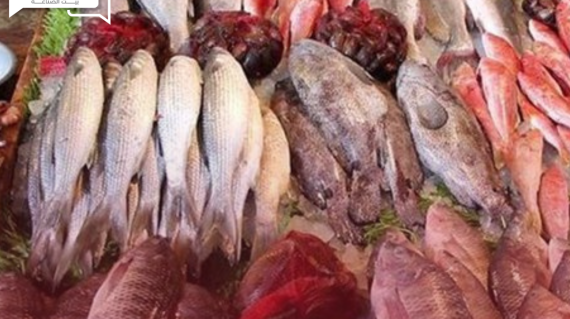 ارتفاع جديد في أسعار الأسماك والمأكولات البحرية اليوم الأحد في الأسواق