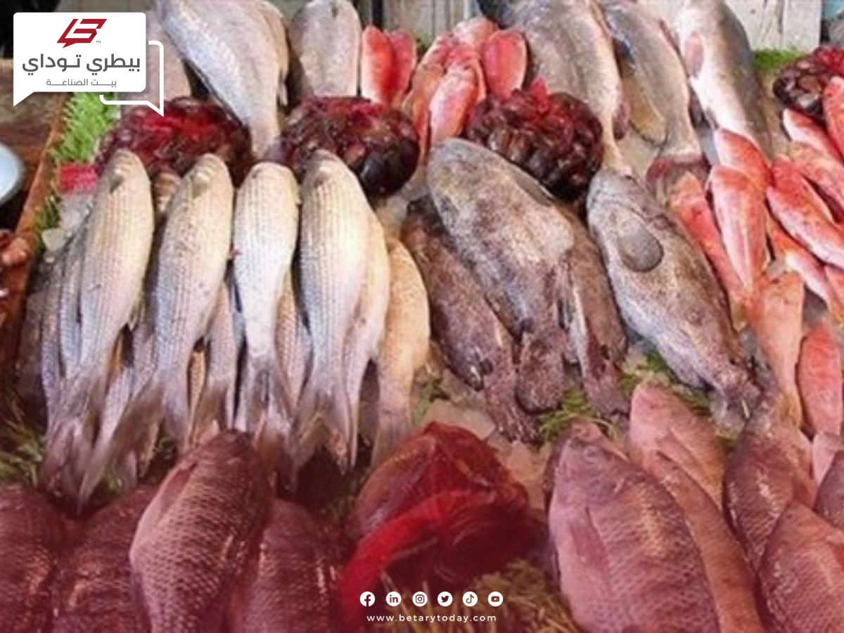 السمك غلى ولا رخص... أسعار الأسماك والمأكولات البحرية اليوم الخميس في الأسواق