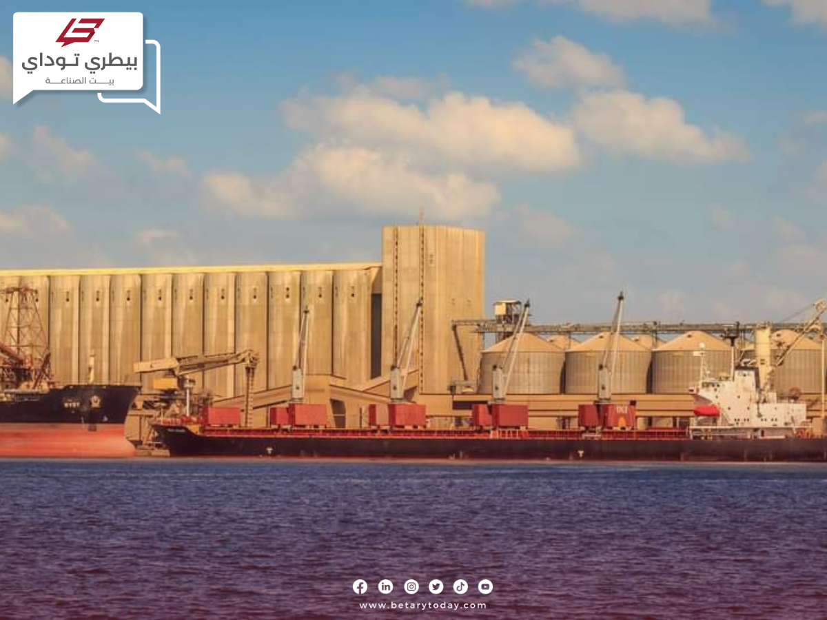 ميناء دمياط يستقبل اليوم نحو 10500 طن ذرة صفراء و 2187 رأس ماشية