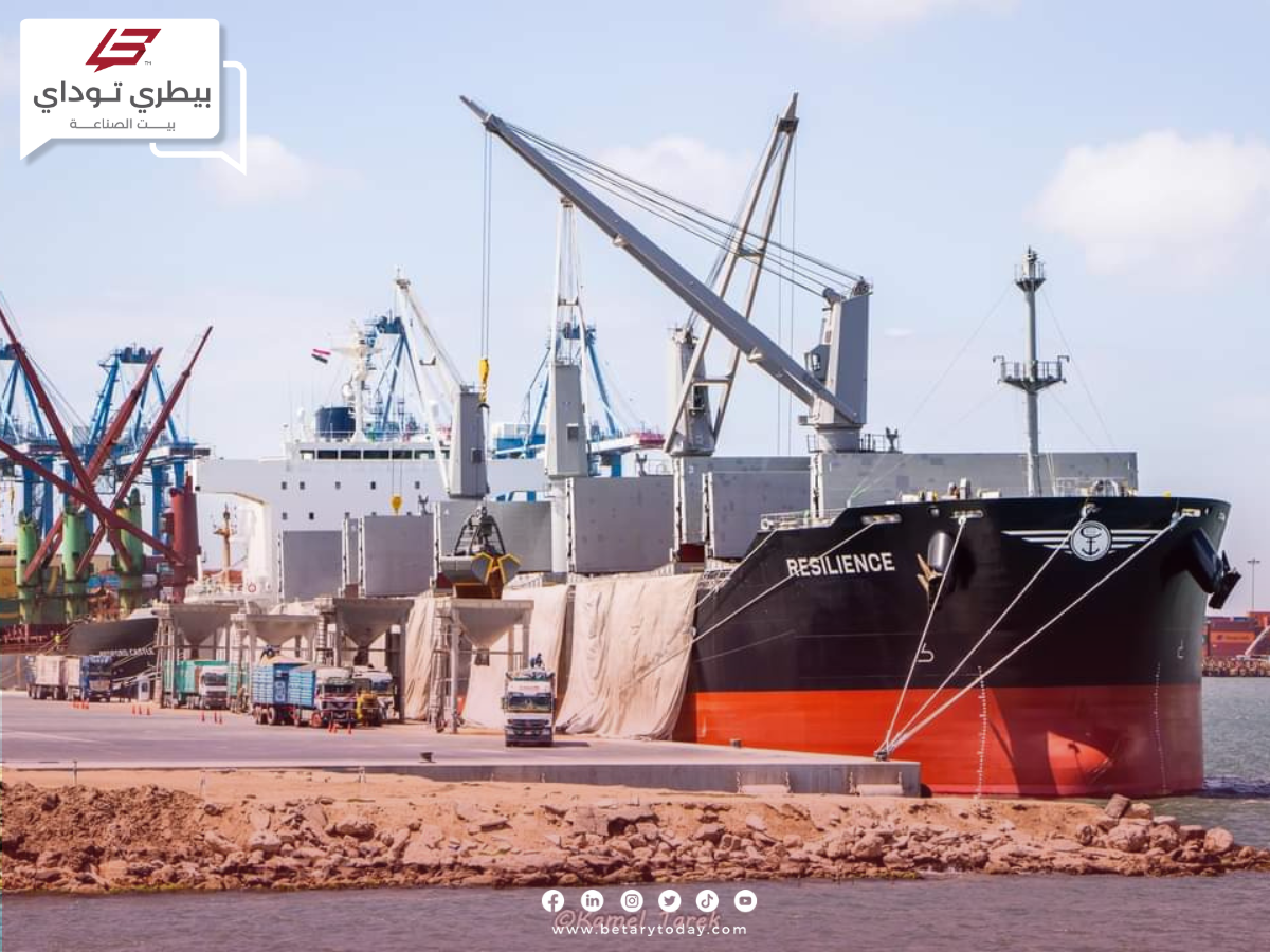ميناء دمياط يستقبل اليوم نحو 2203 رأس ماشية و 41243 طن ذرة